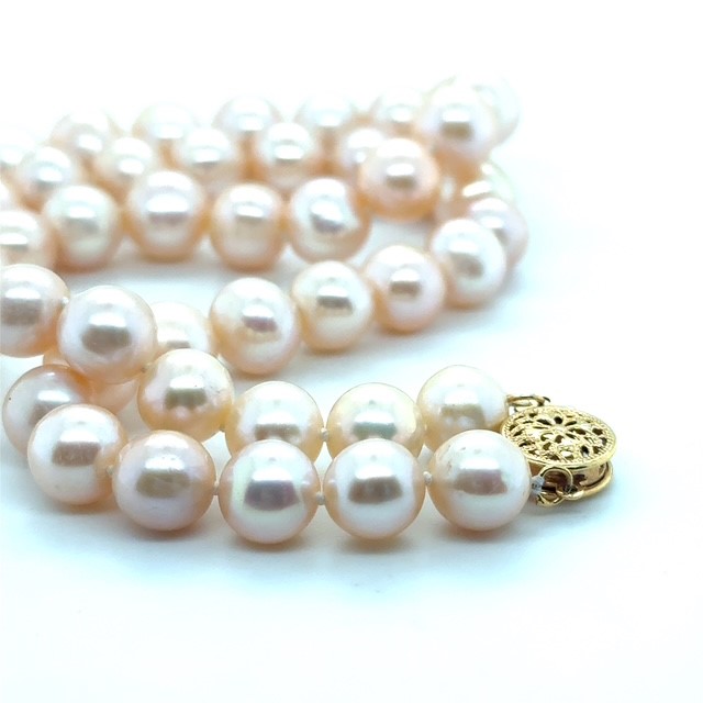 lightbox clasp